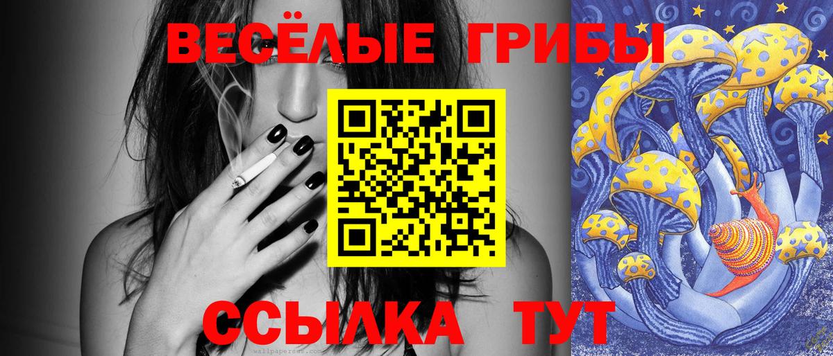 Псилоцибиновые грибы мухоморы Волгоград